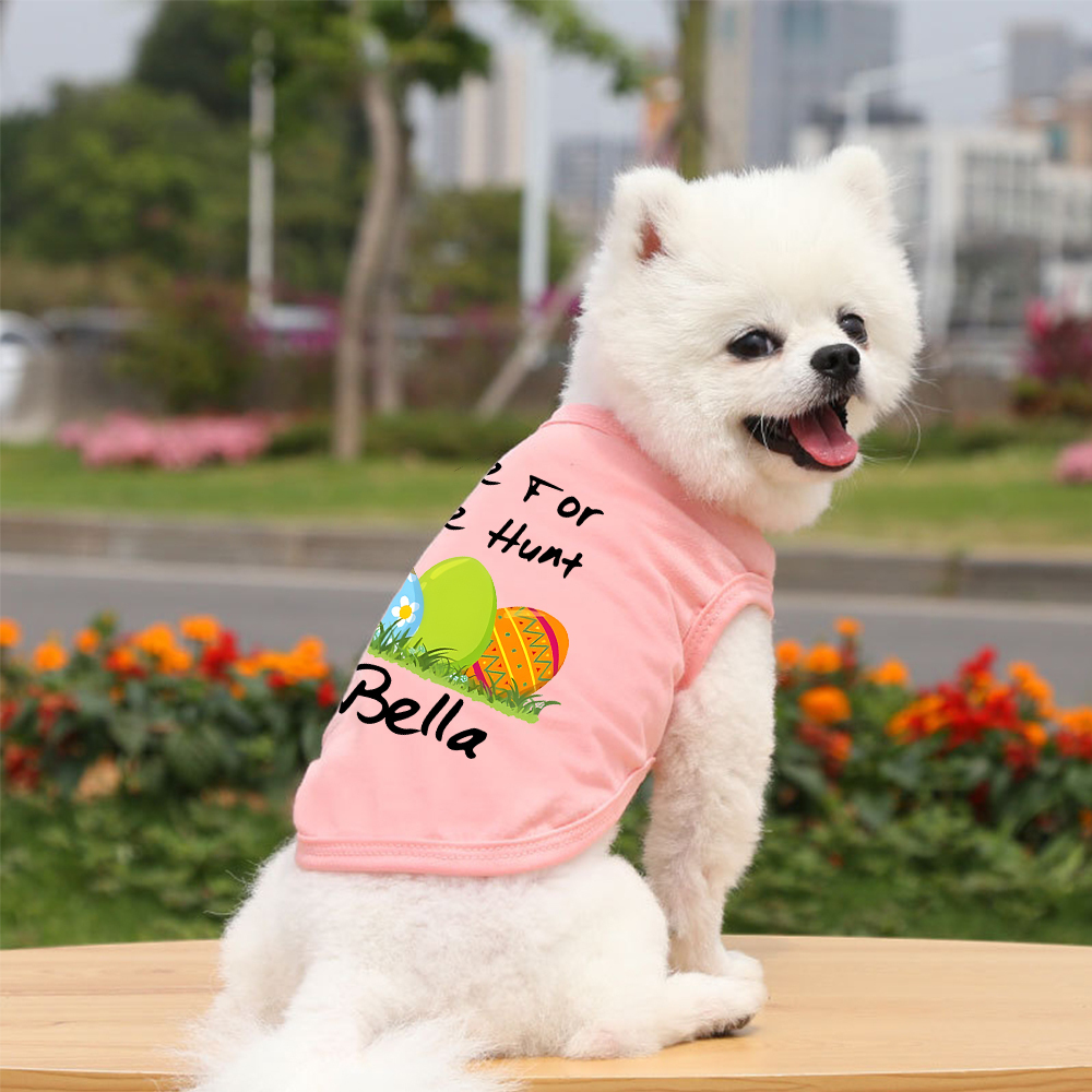 Personalized Easter egg hunt Pet Shirt | inCloth13