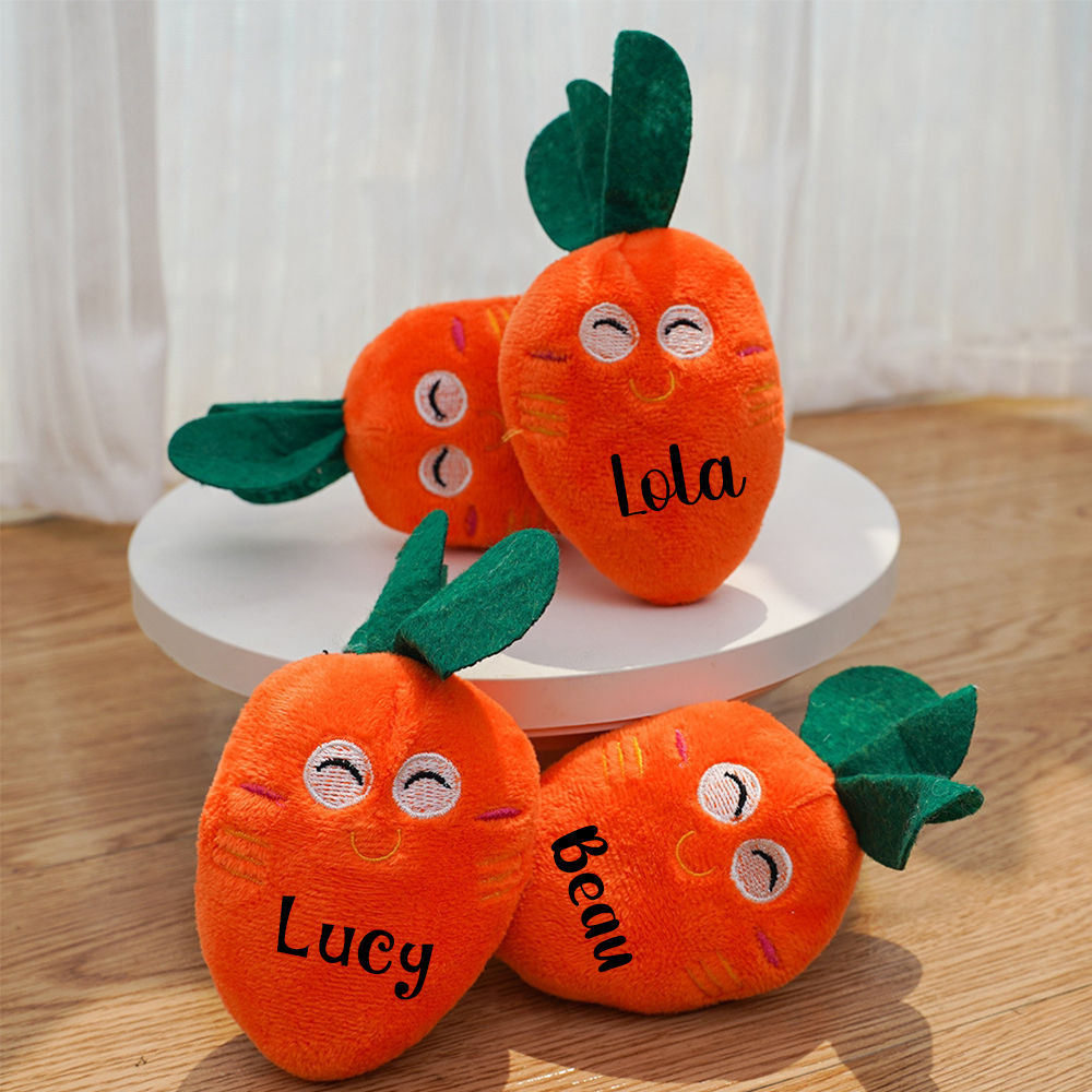 Personalized Pet Squeaky Carrot Plush Toy  | inToy06