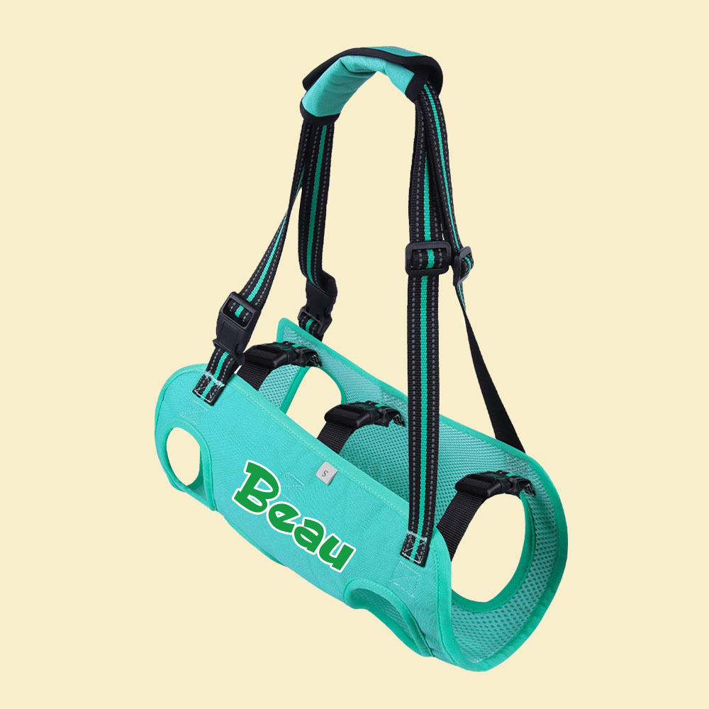 Personalized Name Dog Walking Aid Harness | inAccs24