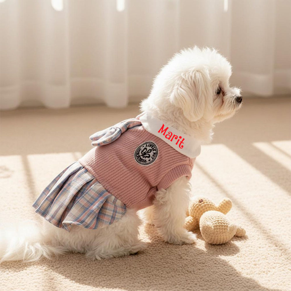 Personalized Pet School Style Dress | inCloth27