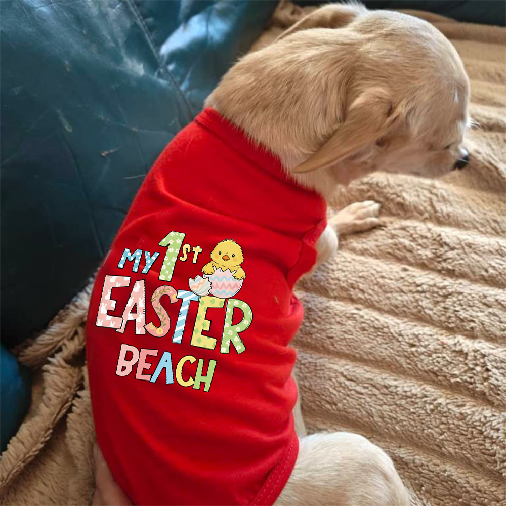 Personalized Pet's First Easter Shirt | inCloth35