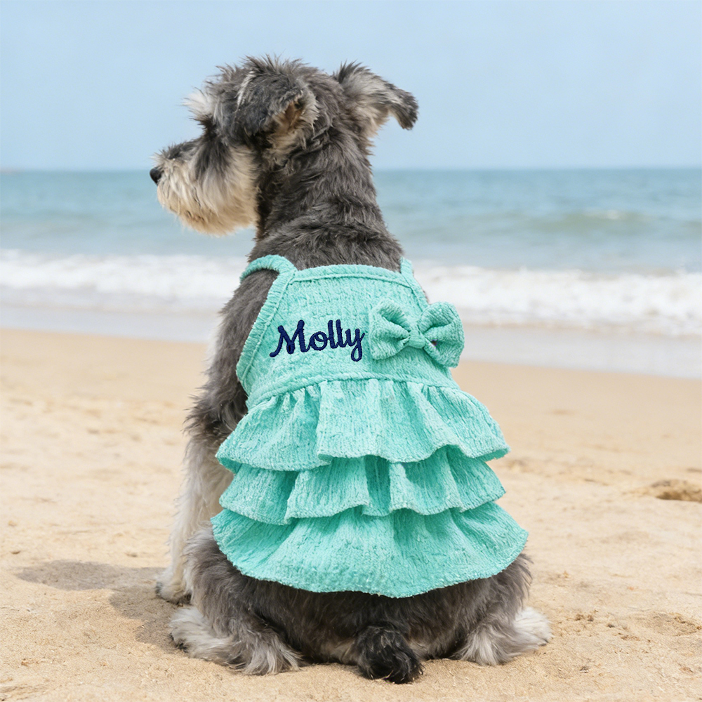 Personalized Embroidered Name Pet Color Princess Dress | inCloth41