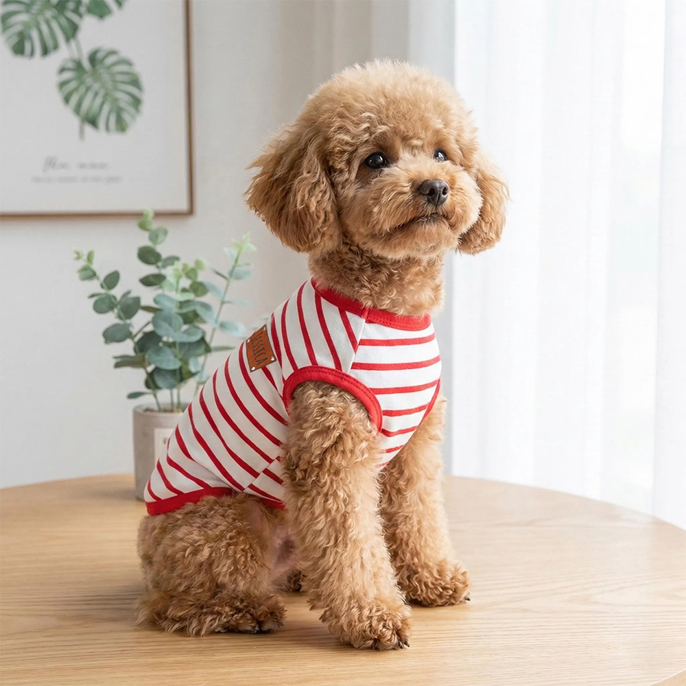 Personalized Pet Summer Striped Shirt | inCloth61