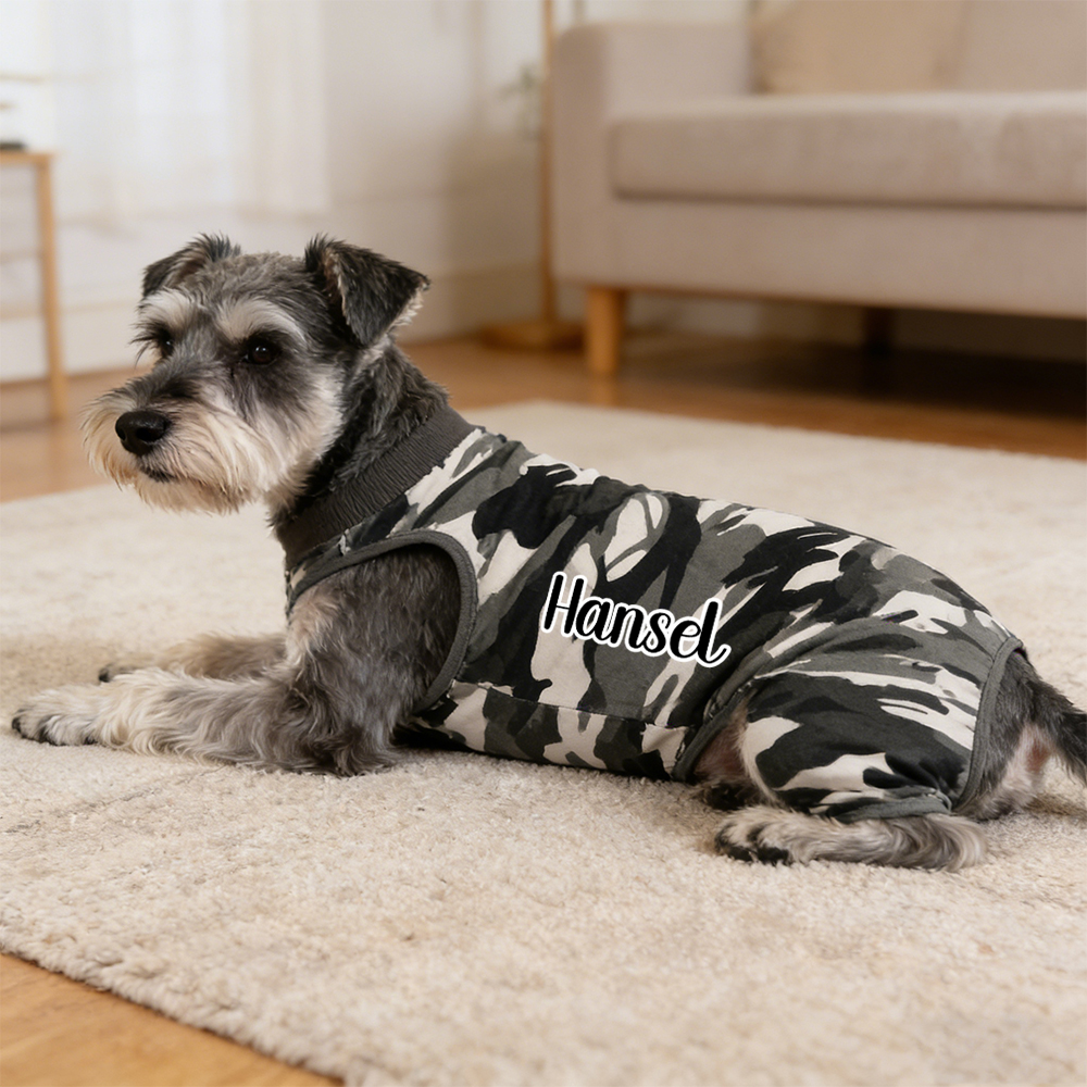 Personalized Name Anti Lick Pet Onesie | inCloth72