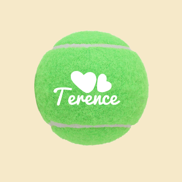 Personalized Name Pet Tennis Ball | inToy09