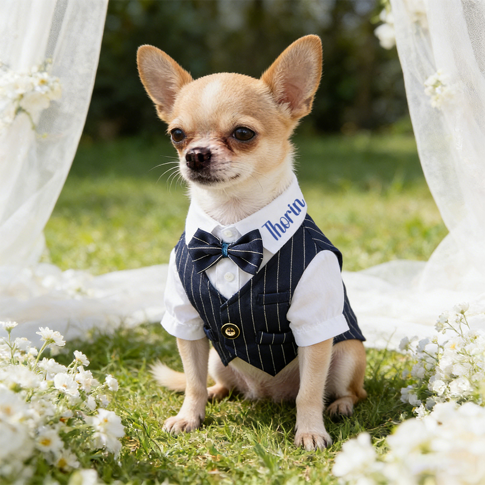 Personalized Name Pet Tuxedo with Bow Tie | inCloth80