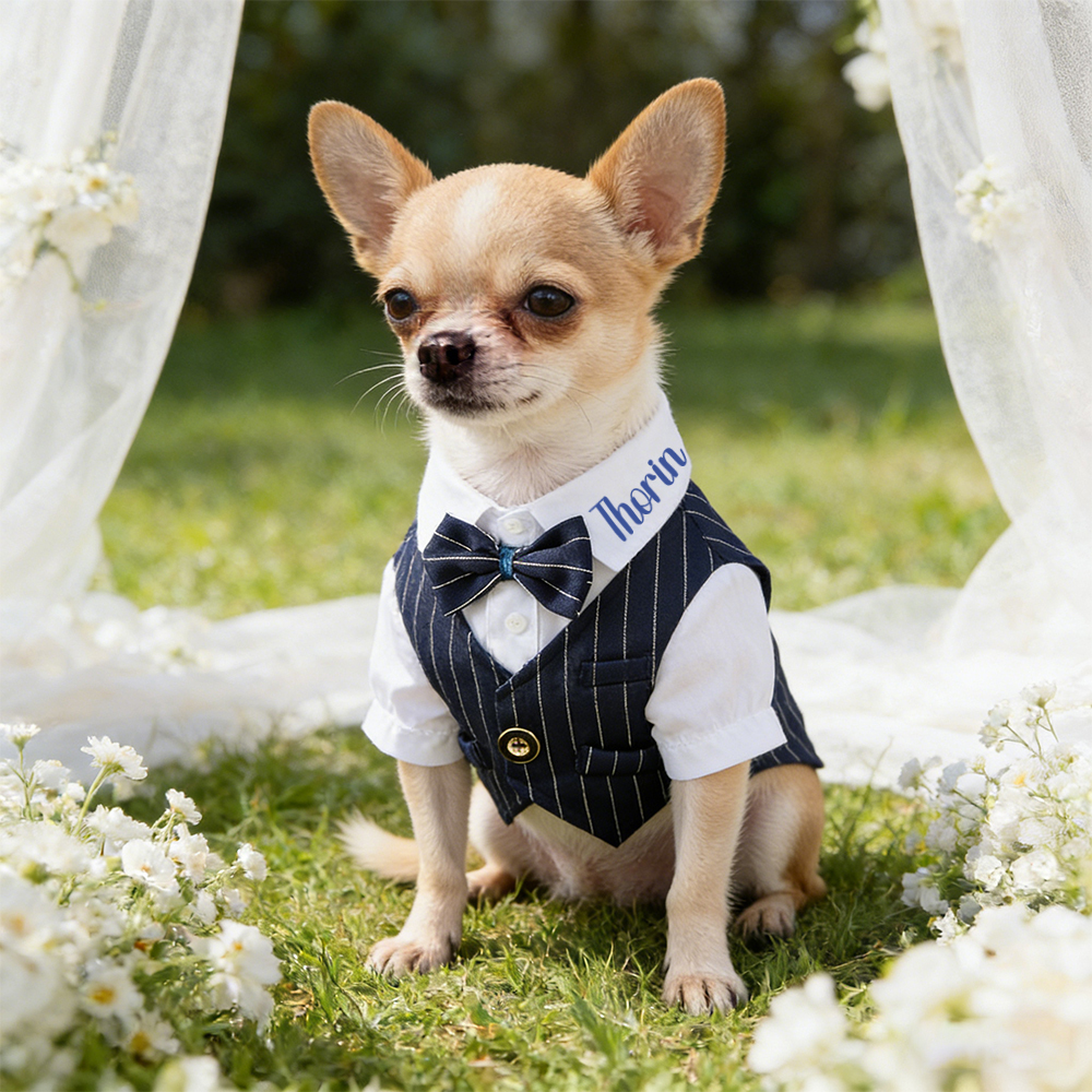 Personalized Name Pet Tuxedo with Bow Tie | inCloth80
