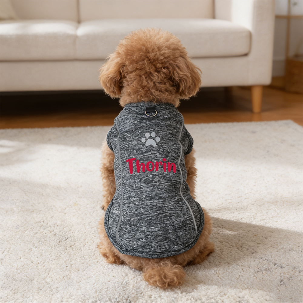 Personalised Summer Breathable Reflective Pet Shirt | inCloth88