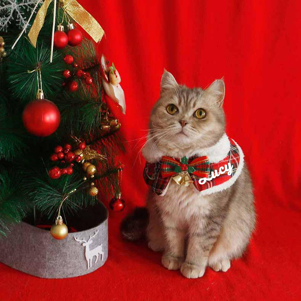 Personalized Christmas Pet Scarf with Plush Collar | KKPet315