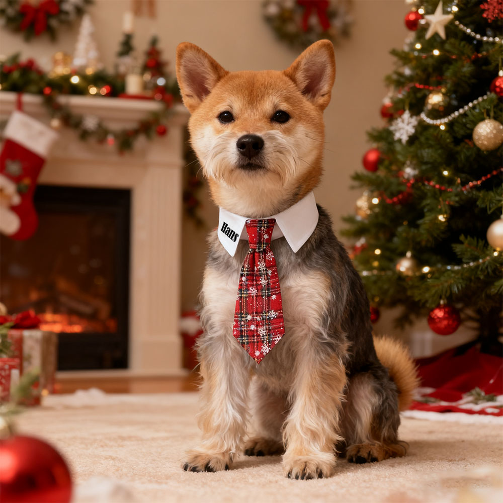 Personalized Name Christmas Pet Tie | KKPet327
