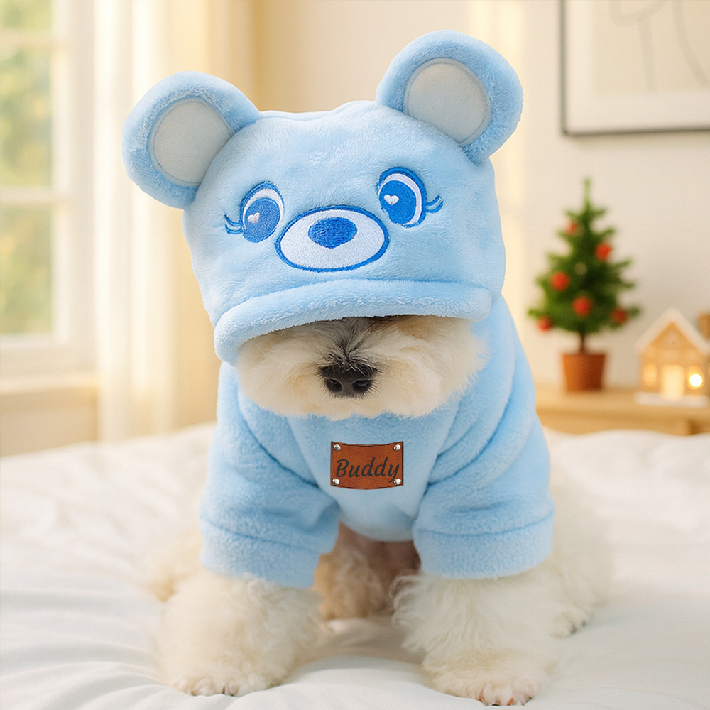 Personalized Leather Patch Name Pet Winter Hoodie | KKPet329