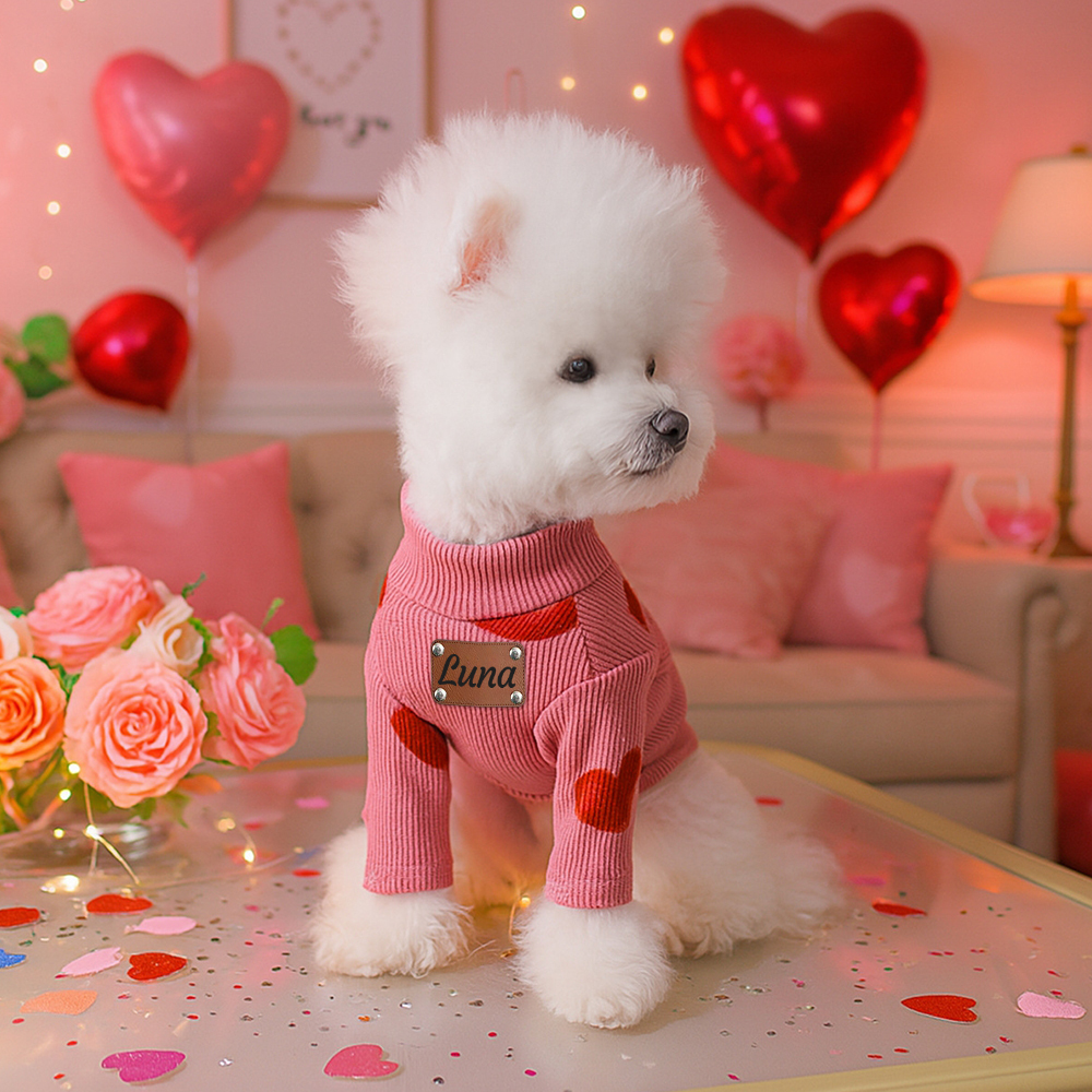 Personalized Leather Patch Name Valentine’s Day Pet Sweater | KKPet383