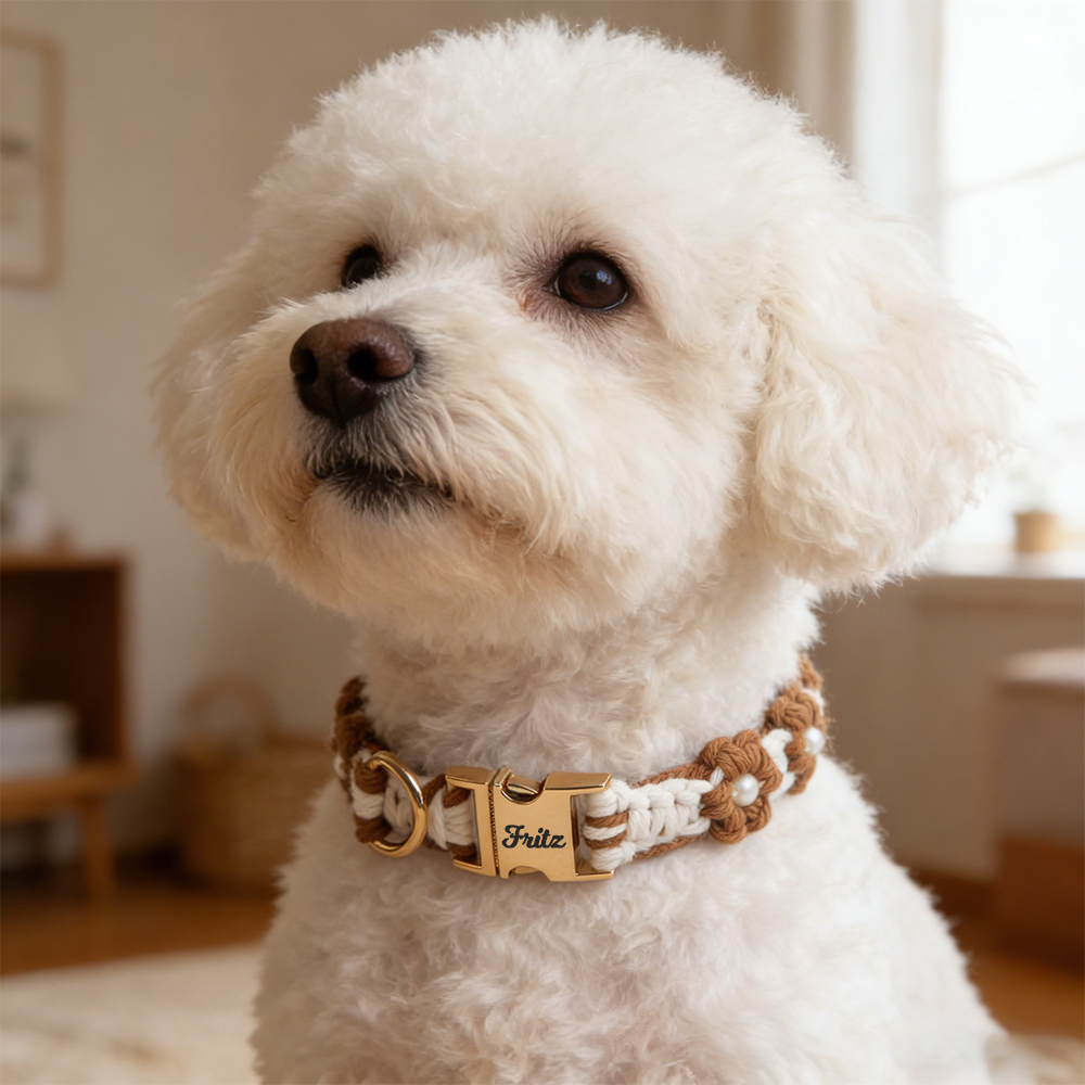 Personalized Engraved Name Woven Flower Pet Collar | KKPet450