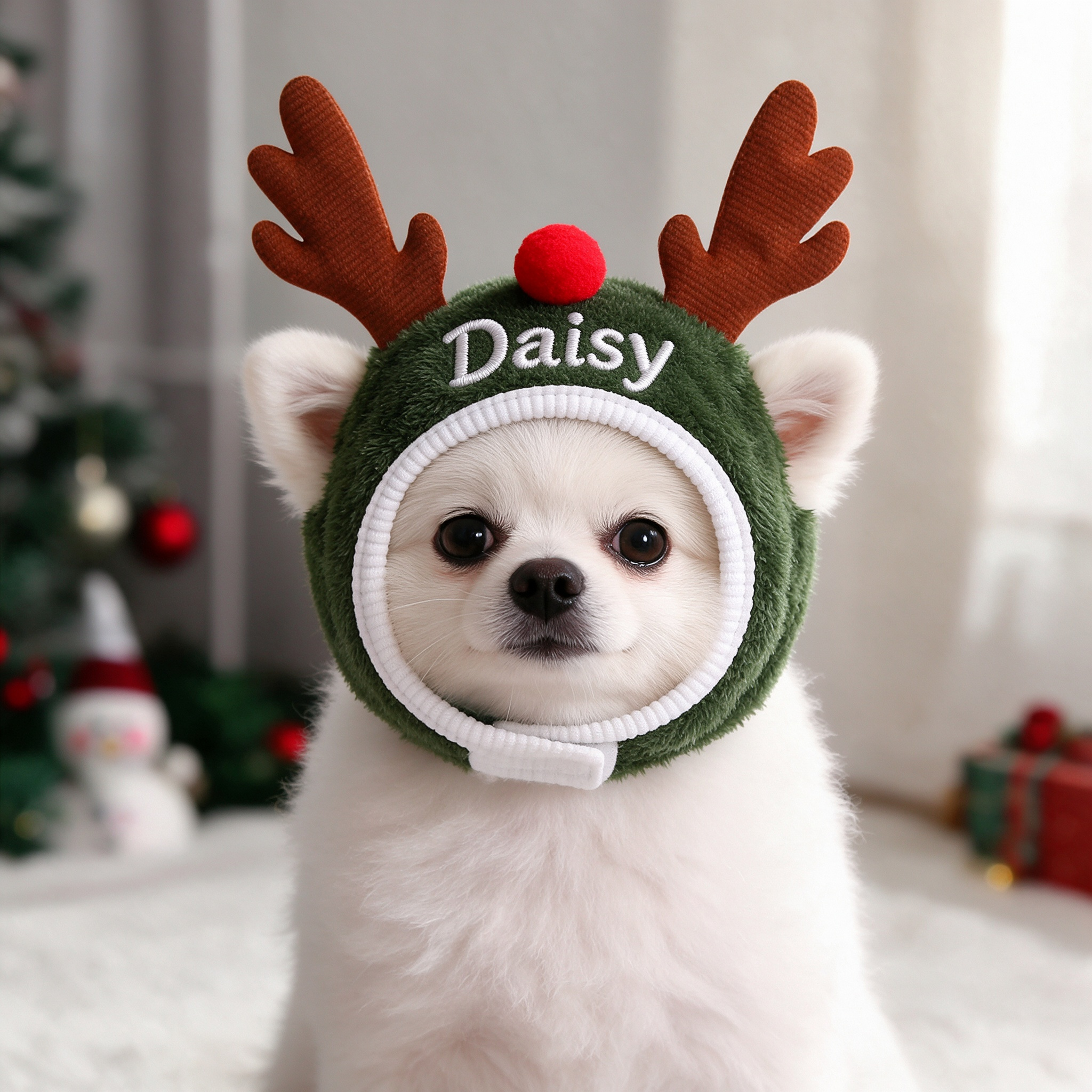 Personalized Embroidered Name Christmas Pet Hat | inHat08