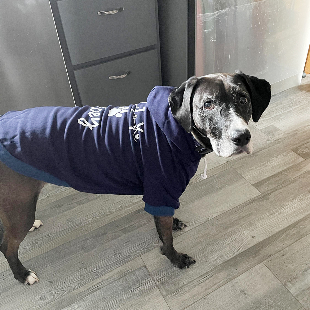 Personalized Cozy Season Warm Puppy Hoodie | BKPet282