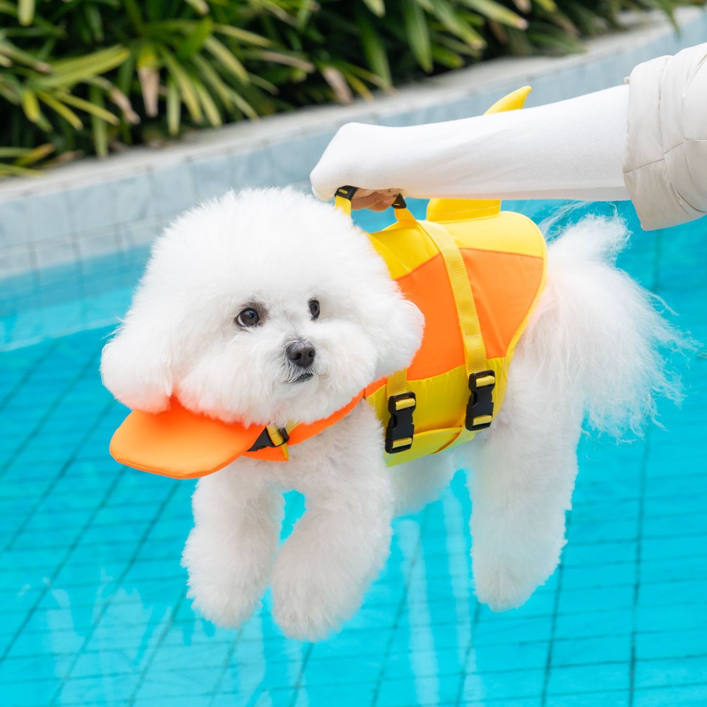 Personalized Name Summer Shark Pet Life Jacket | inCloth96