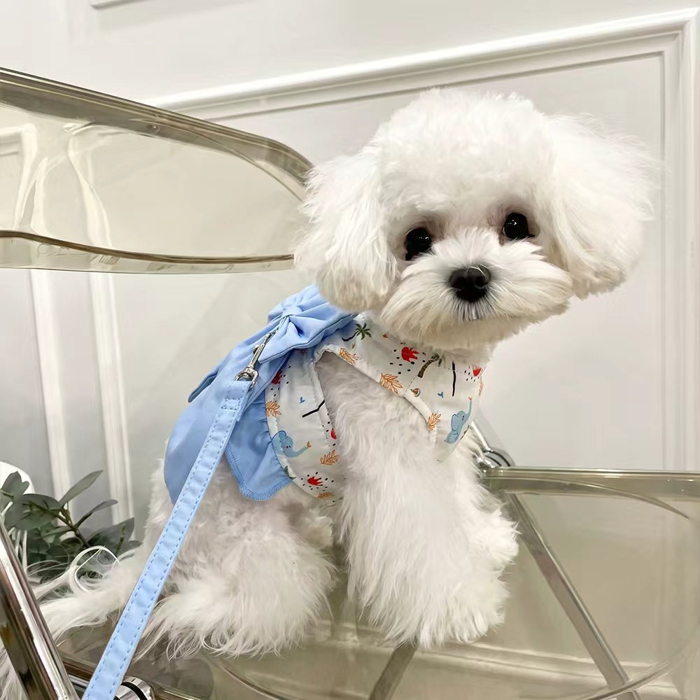Personalized Name Embroidered Pet Bowknot Chest Harness Leash | inAccs63