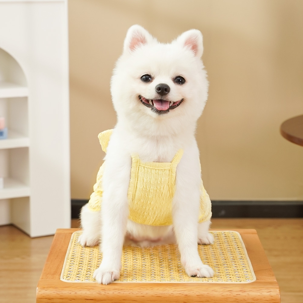 Personalized Embroidered Name Pet Color Princess Dress | inCloth41