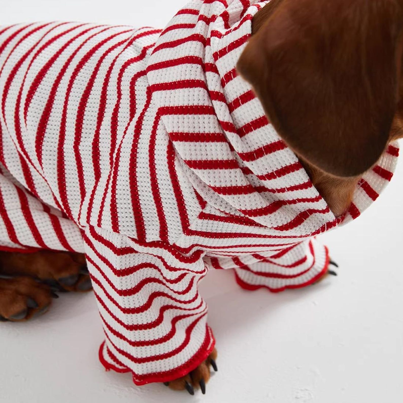Personalized Embroidered Name Striped Waffle Knit Dog Hoodie | inCloth31