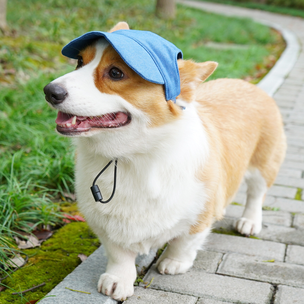 Personalized Embroidered Name Pet Baseball Cap | inHat05