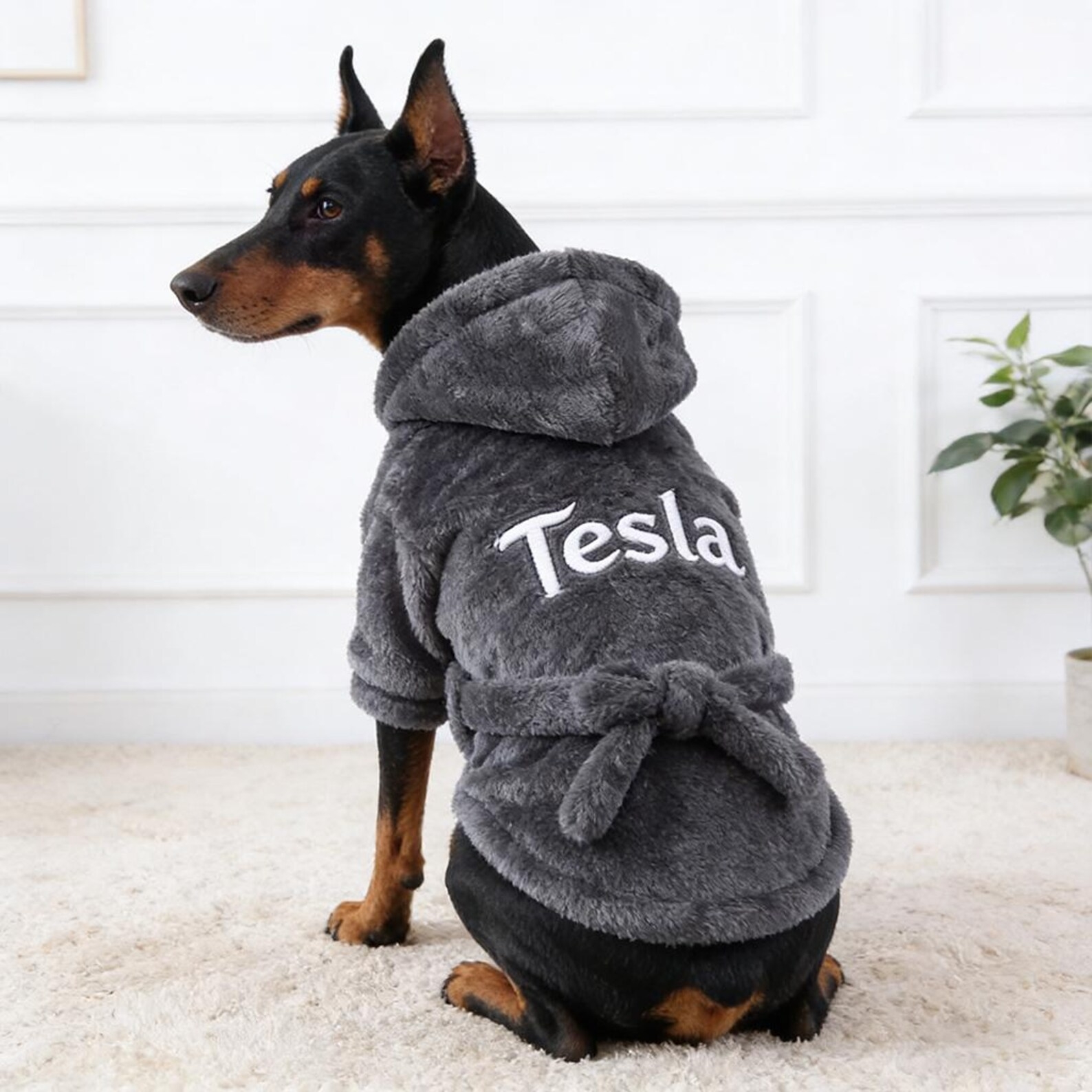 Personalized Embroidered Name Pet Bathrobe | inCloth23