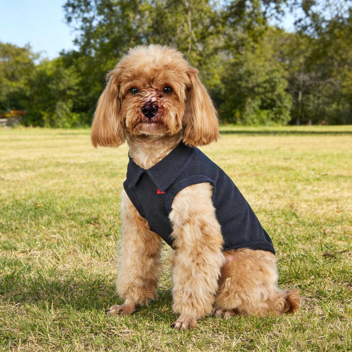 Personalized Embroidered Name Summer Sleeveless Dog Polo Shirt | inCloth78