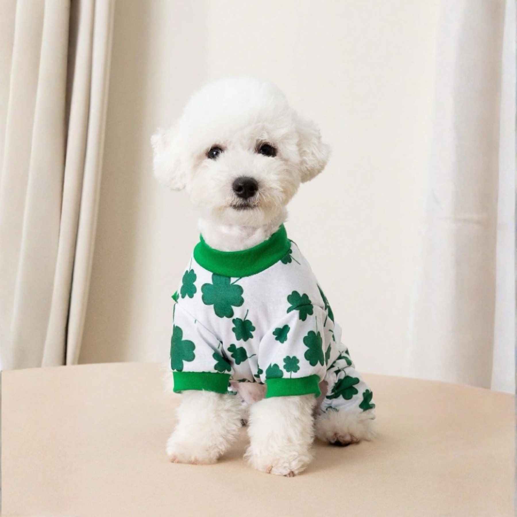 Personalized Pet Lucky St. Patricks Day Jumpsuit | inCloth10