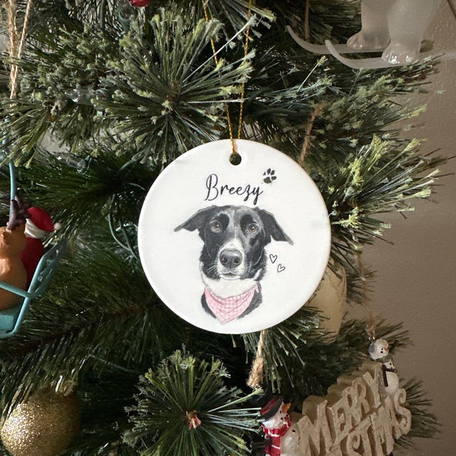Personalized Watercolor Pet Photo Ornament | inAccs67