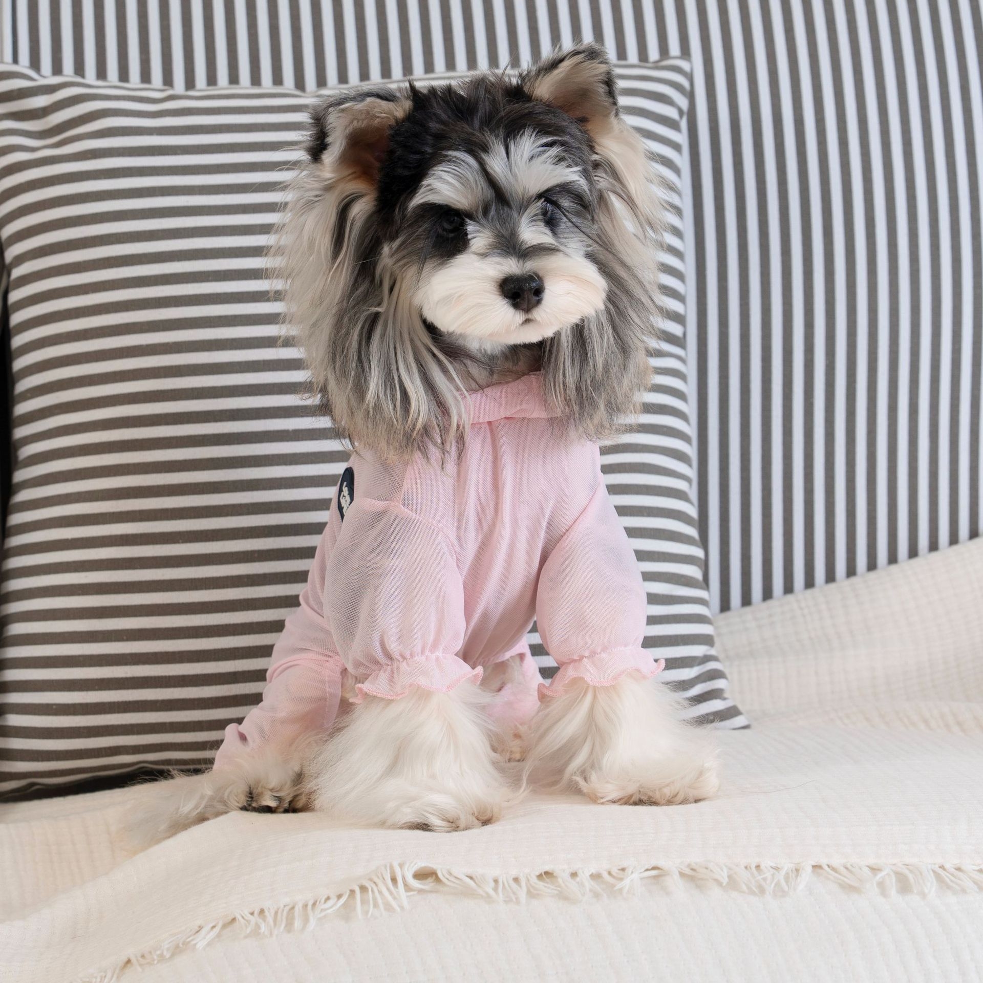Personalized Name Pet Breathable Sun & Mosquito Guard Onesie | inCloth72