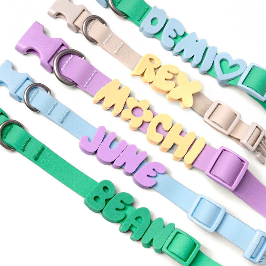 Personalized Silicone Pet Collar with Name | inAccs54