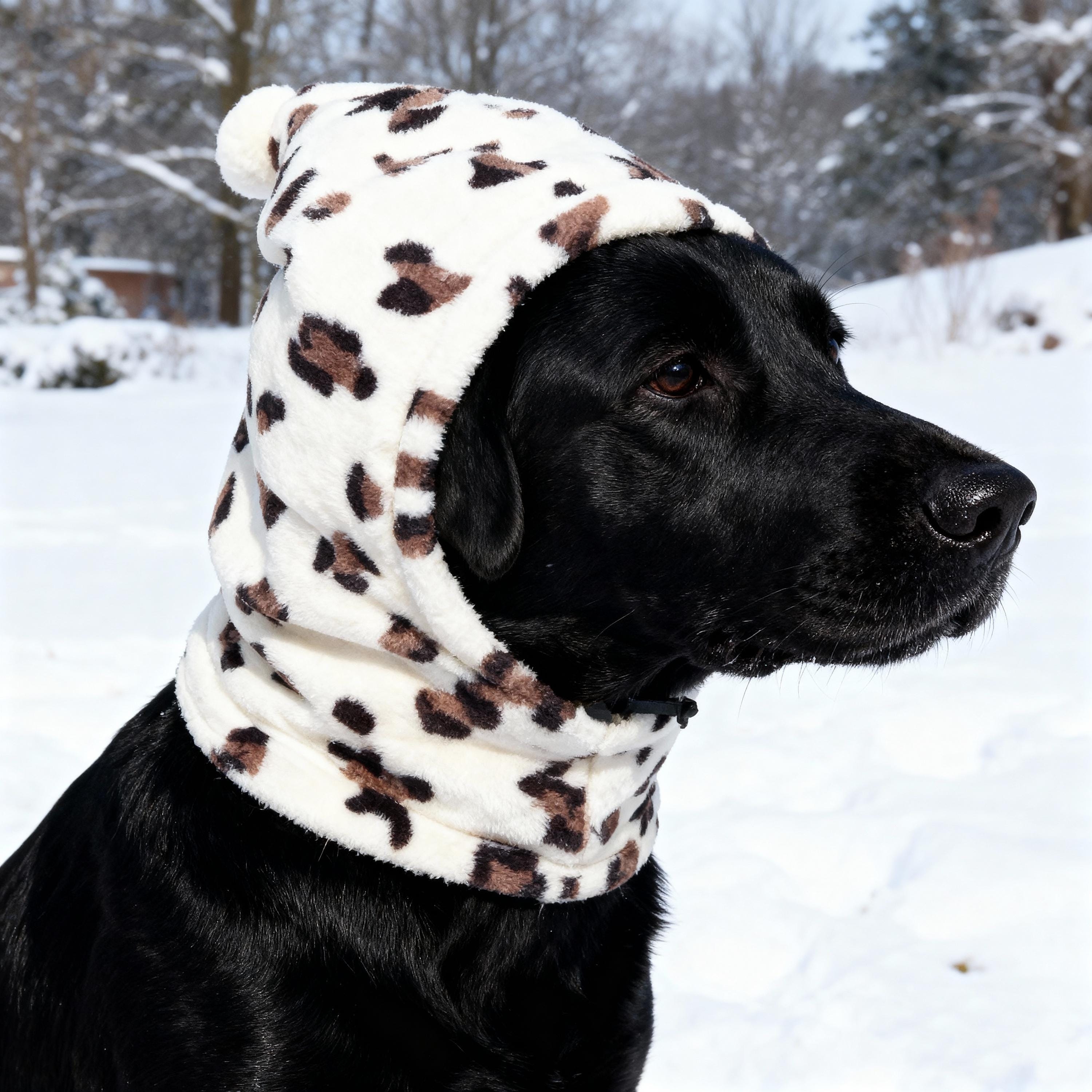 Personalized Embroidered Name Pet Plush Hat | KKPet350