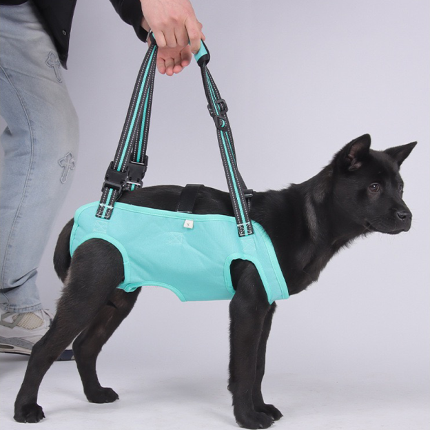 Personalized Name Dog Walking Aid Harness | inAccs24
