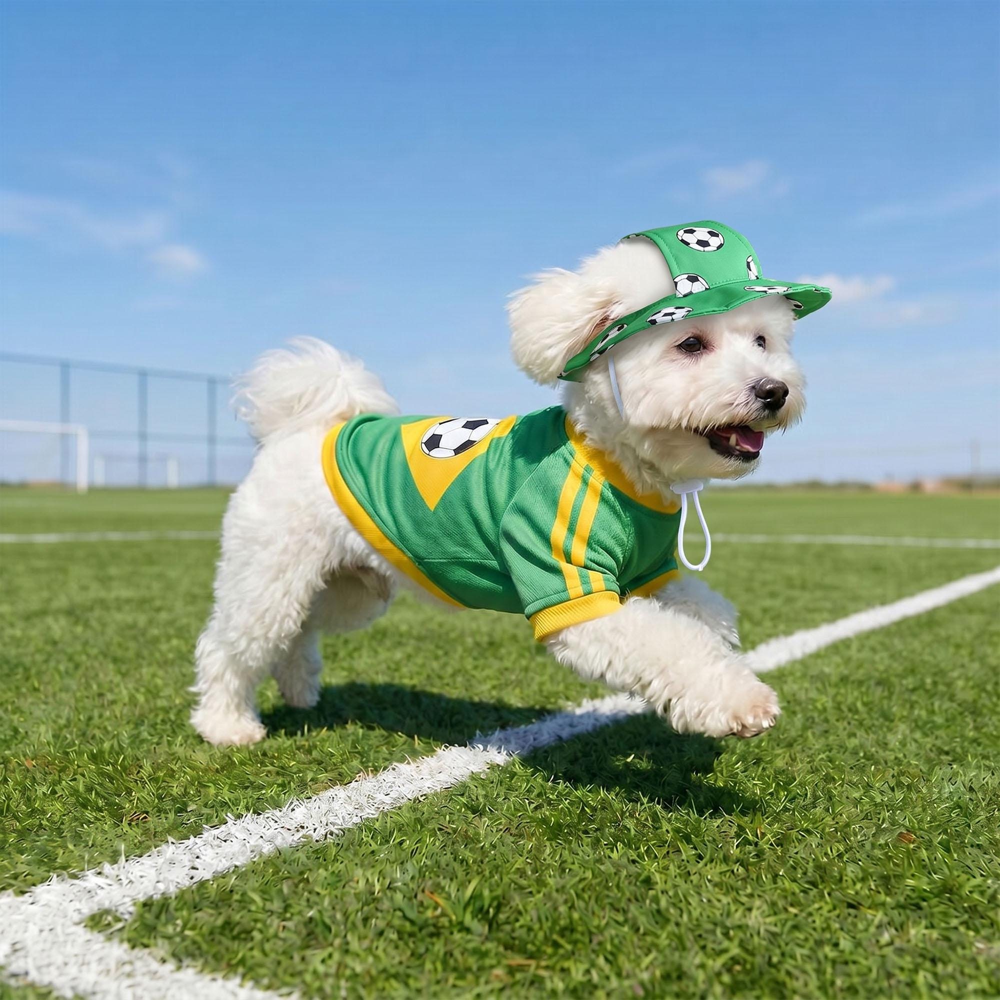 Personalized Pet Match Day Soccer Jersey | inCloth103