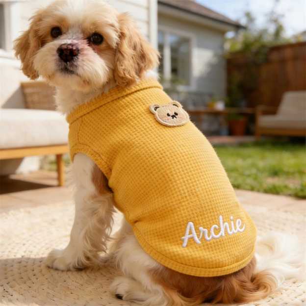 Personalized Embroidered Name Summer Thin Breathable Sweatshirt | inCloth79