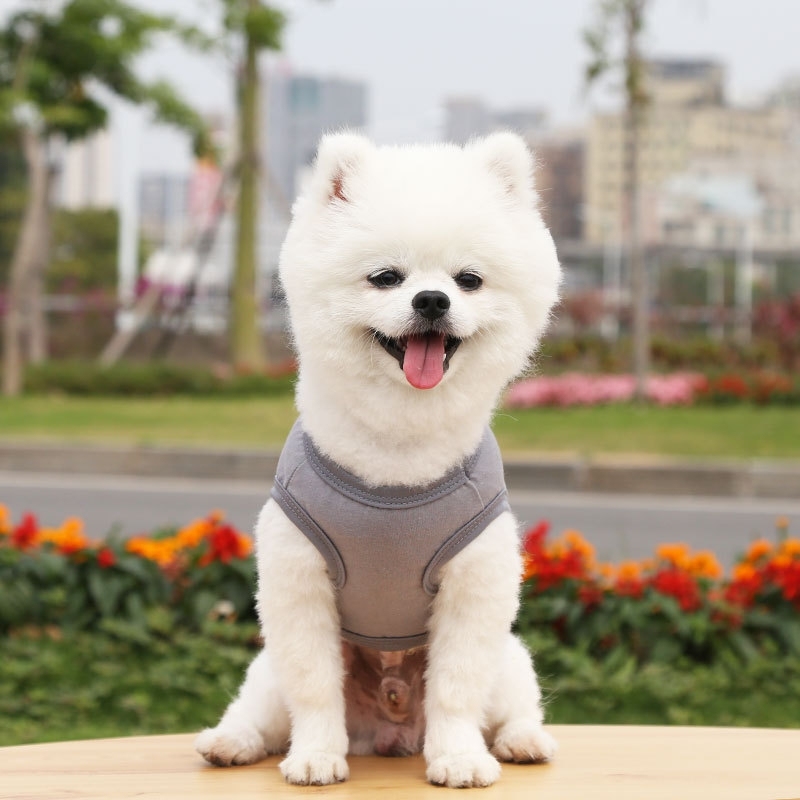 Personalized Easter egg hunt Pet Shirt | inCloth13