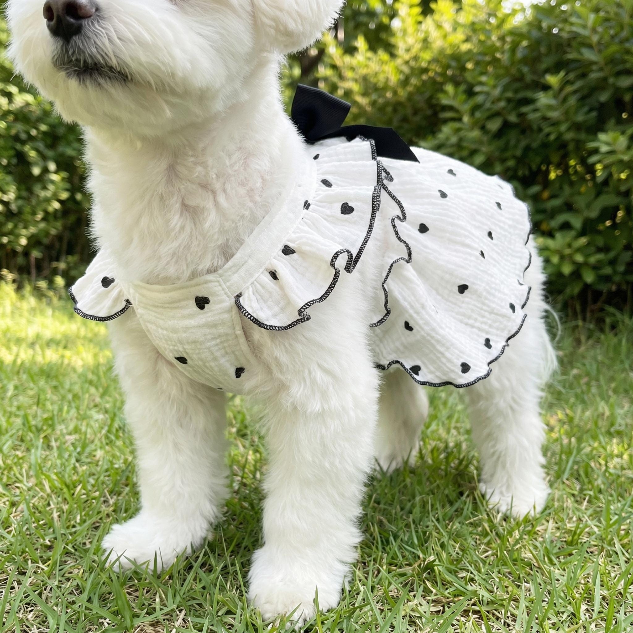 Personalized Pet Floral Bowknot Dress | inCloth36
