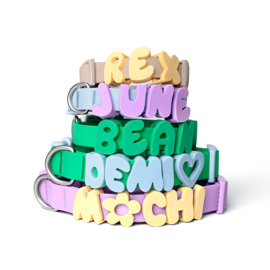 Personalized Silicone Pet Collar with Name | inAccs54