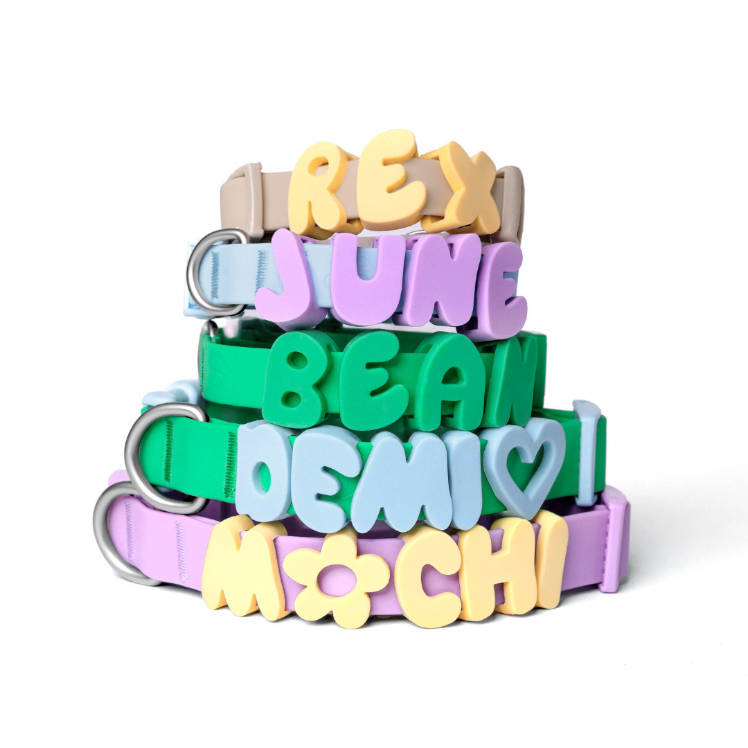 Personalized Silicone Pet Collar with Name | inAccs54