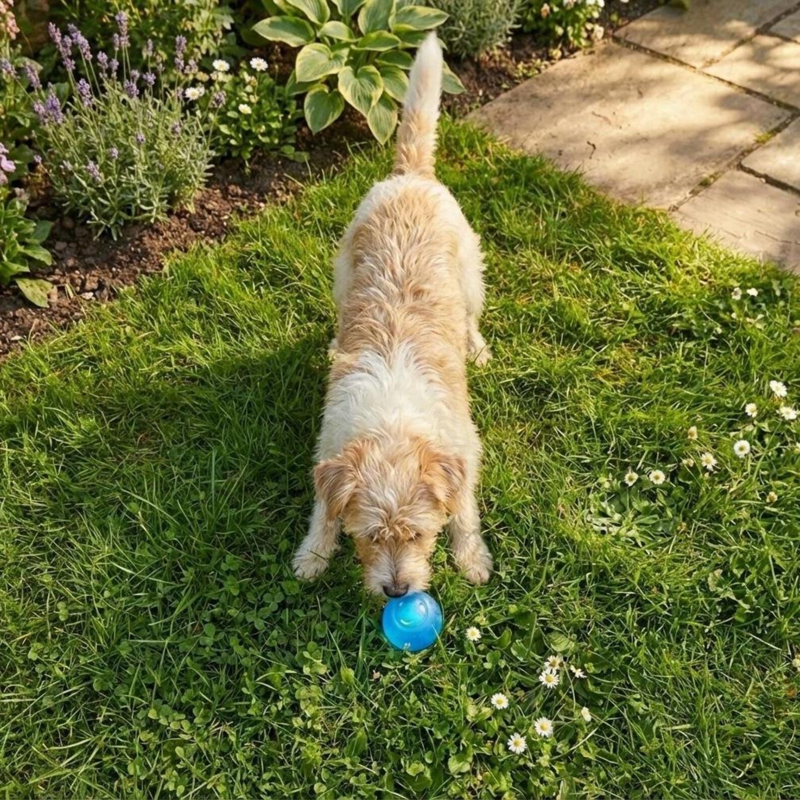 Personalized Rechargeable Electronic Pet Bouncing Ball Toy | inToy08