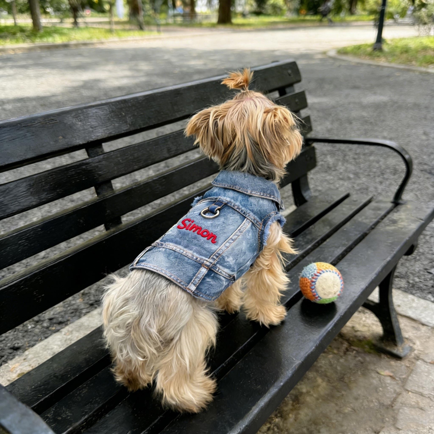 Personalized Embroidered Name Pet Denim Vest | inCloth63