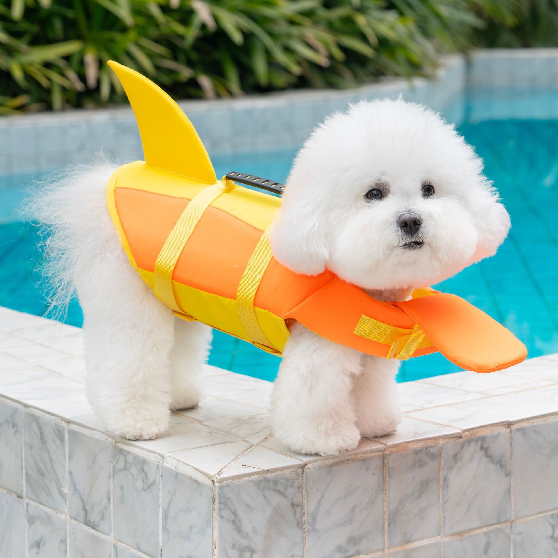 Personalized Name Summer Shark Pet Life Jacket | inCloth96