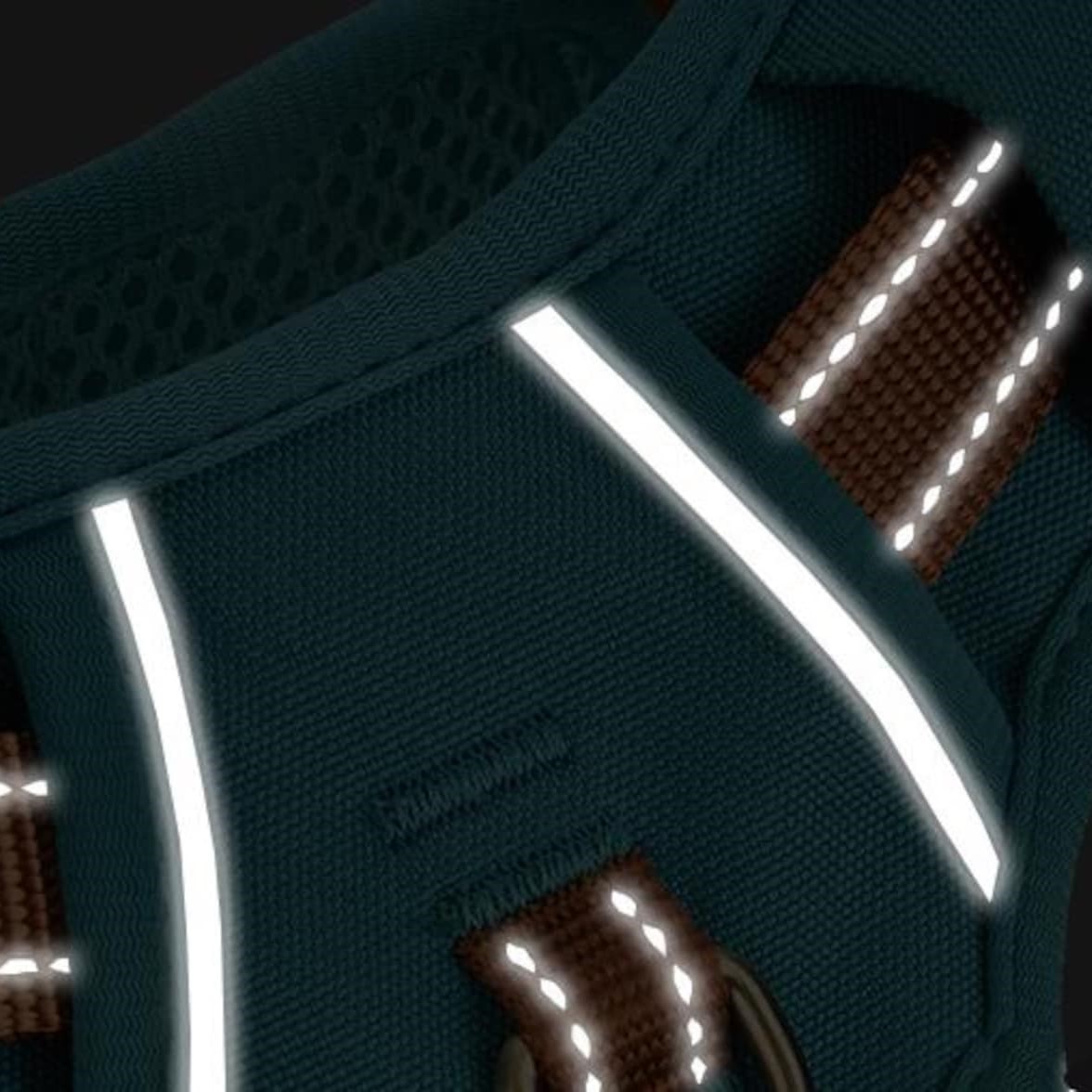 Personalized Pet Harness With Reflective Properties | inAccs58