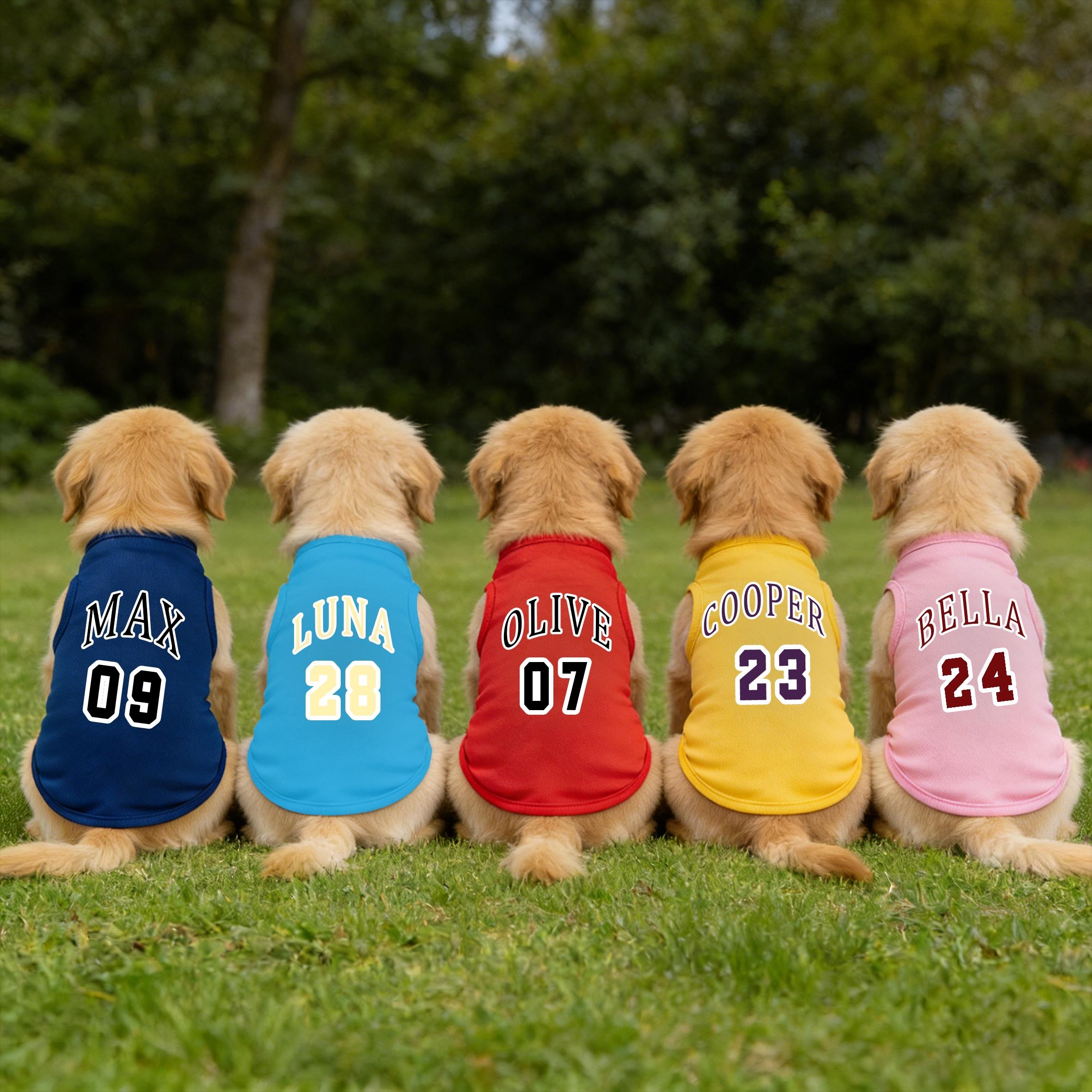 Personalized Breathable Pet Vest with Name & Number | inCloth55