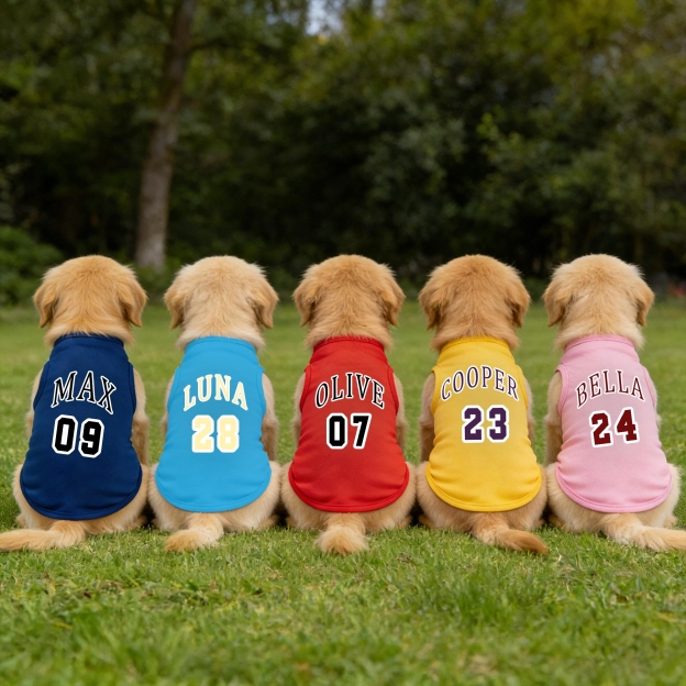 Personalized Breathable Pet Vest with Name & Number | inCloth55