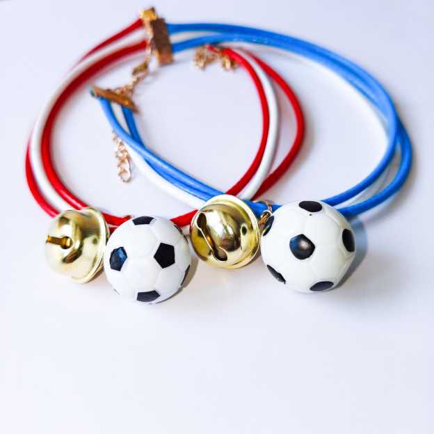 Personalized Engraved Name Soccer Pet Collar | inAccs50