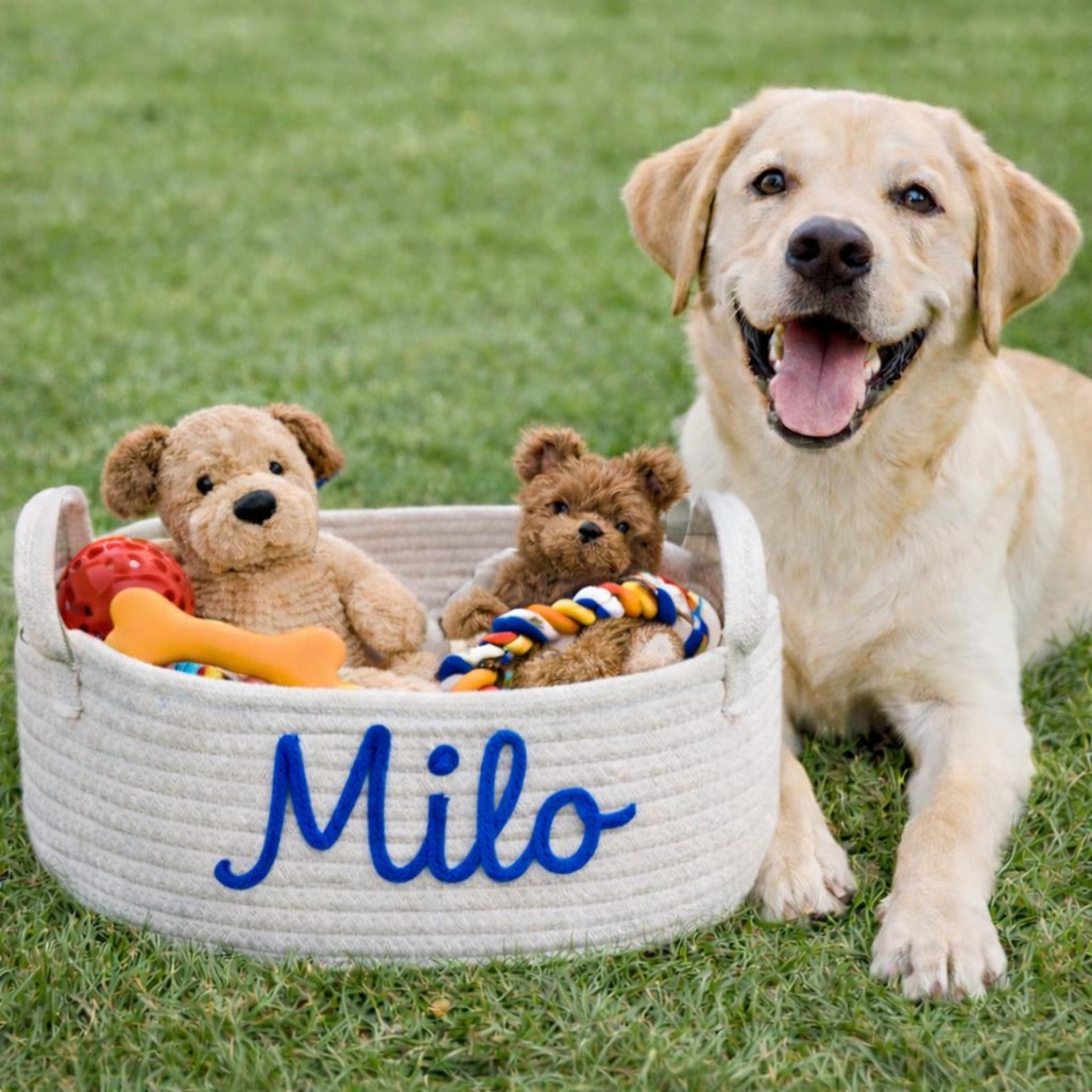 Personalized Handmade Embroidered Pet Storage Basket | inToy03