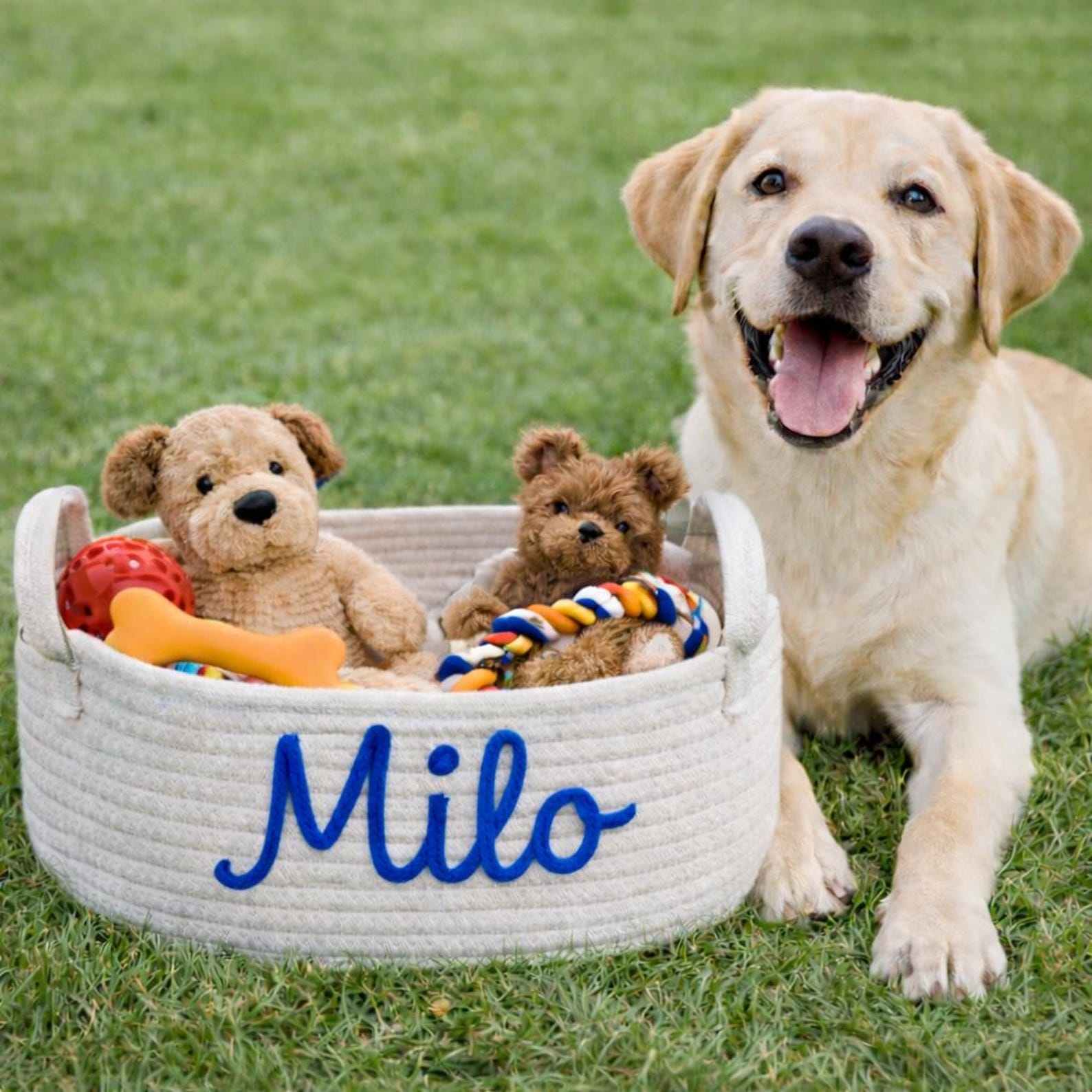 Personalized Handmade Embroidered Pet Storage Basket | inToy03