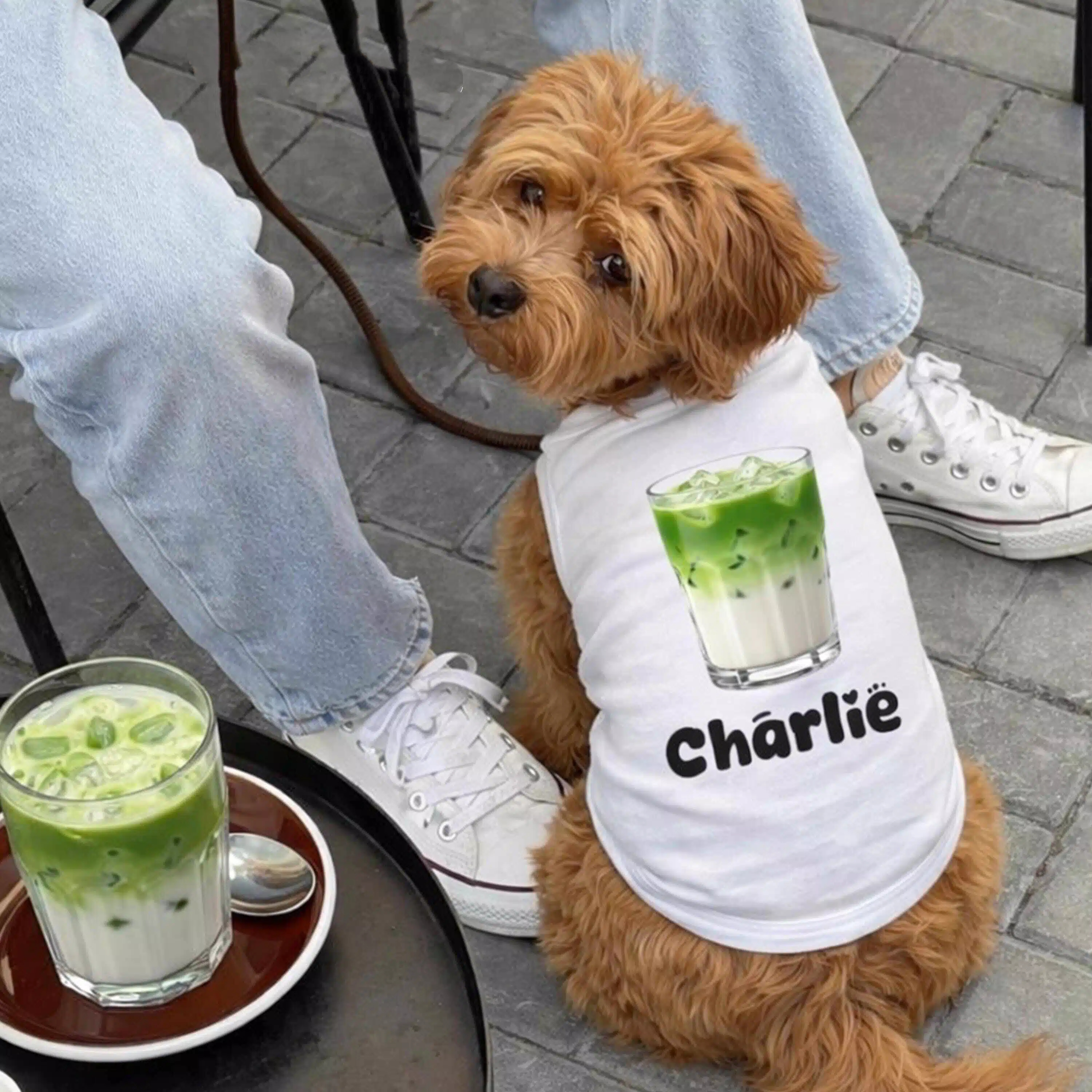 Personalized Name Funny Summer Pet Vest | inCloth89