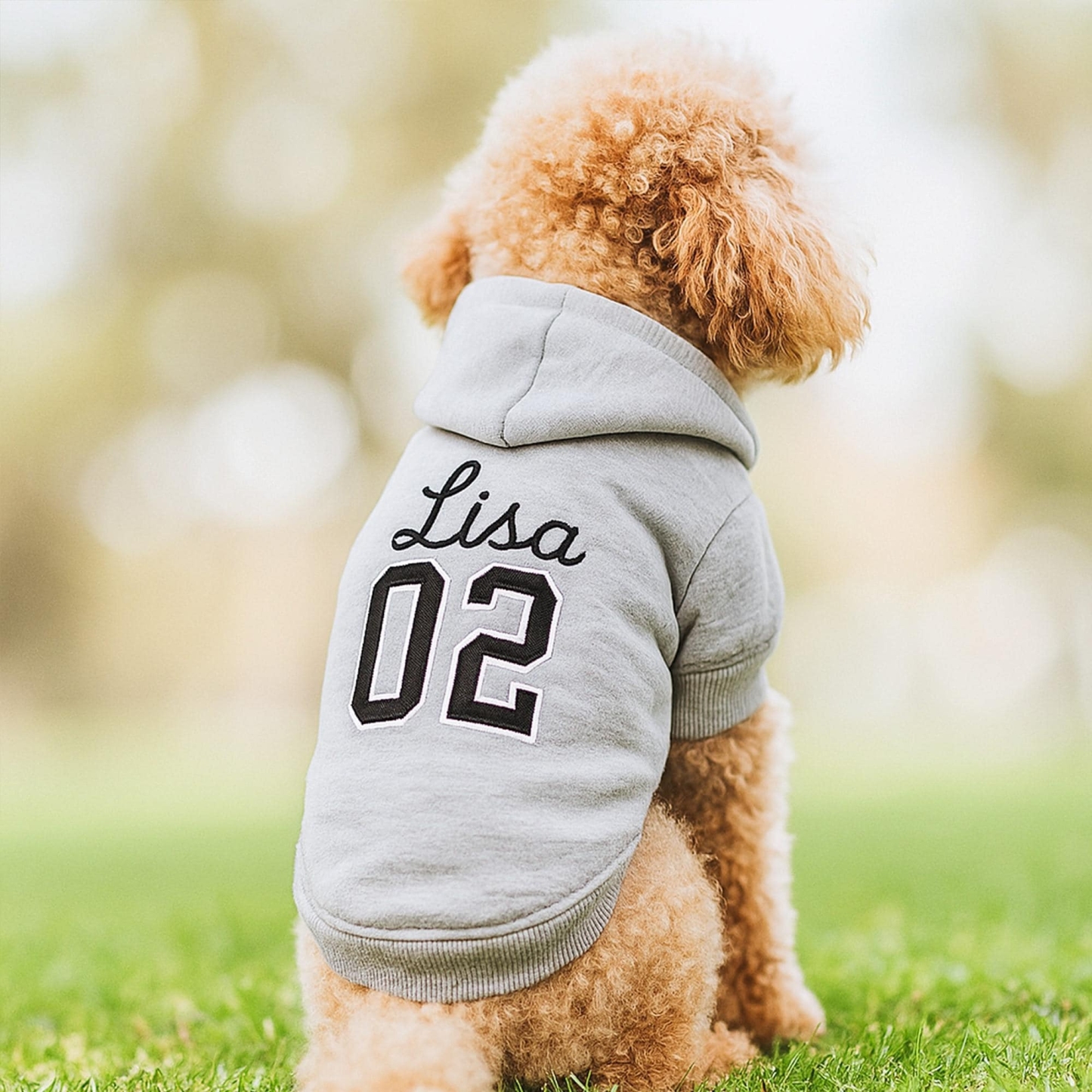 Personalized Embroidered Name Pet Birthday Hoodie | inCloth22