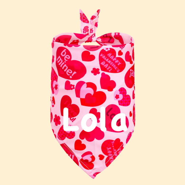 Personalized Romantic Valentine's Day Pet Bandana | KKPet388